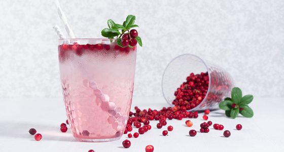 Drinkar Lingon Martini