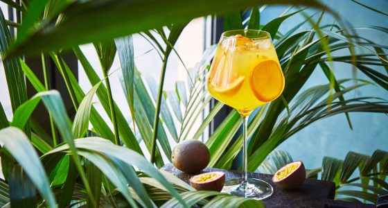 Drinkar Passion Spritz