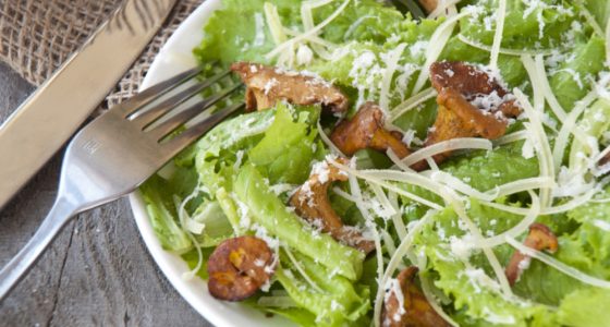 Forratt Huvudratt Sallad Kantareller Parmesan